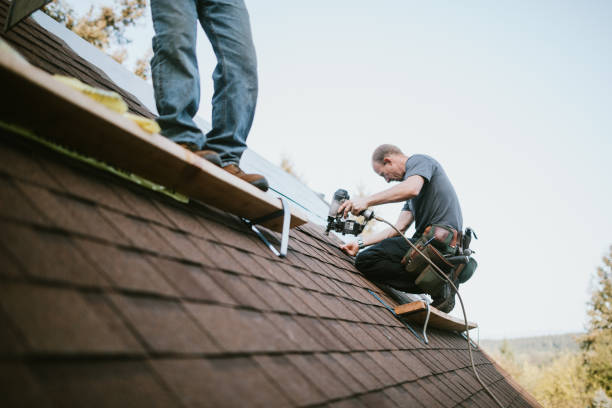 Best Shingle Roofing Installation  in Blue Mound, IL