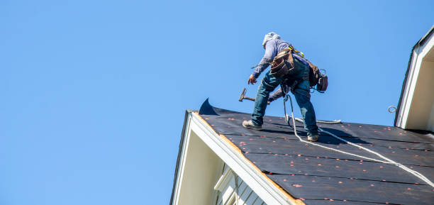 Best Flat Roof Repair Services  in Blue Mound, IL